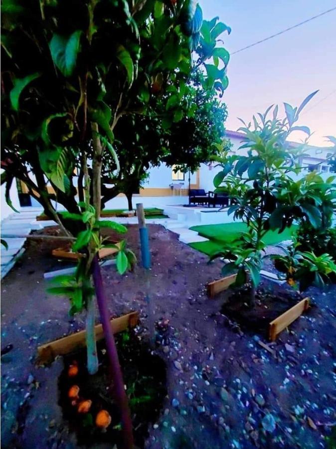 Casa Da Laranjeira Vila Vale Covo  Exterior foto